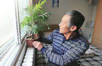 节能房